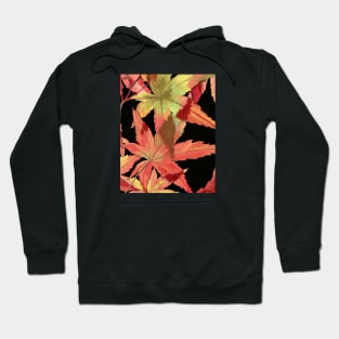 Japanese Maple Hoodie